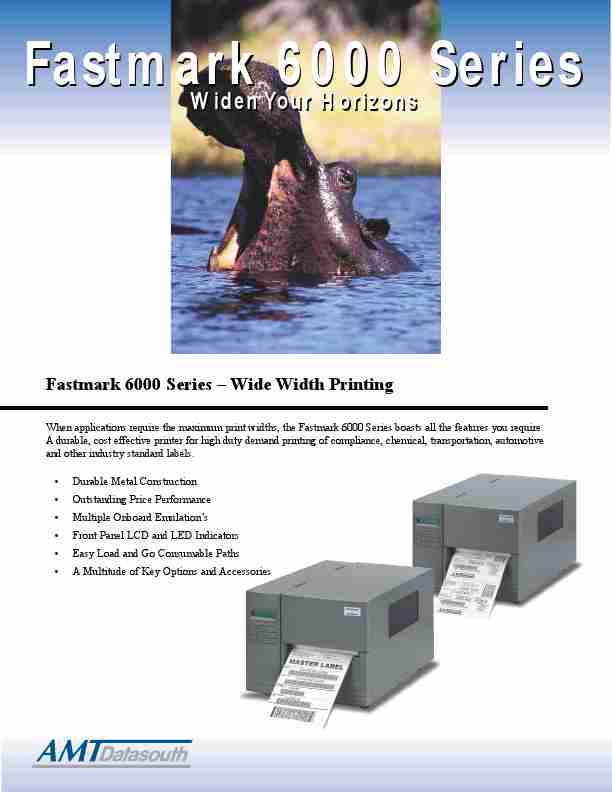 AMT Datasouth Printer FM6602-page_pdf
